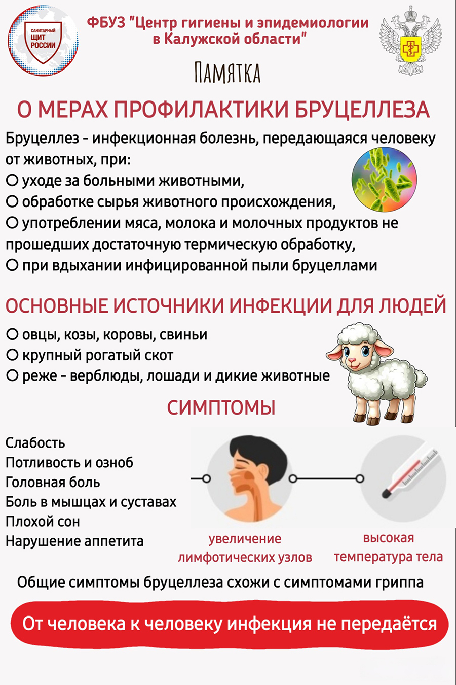 Профилактика бруциллёза